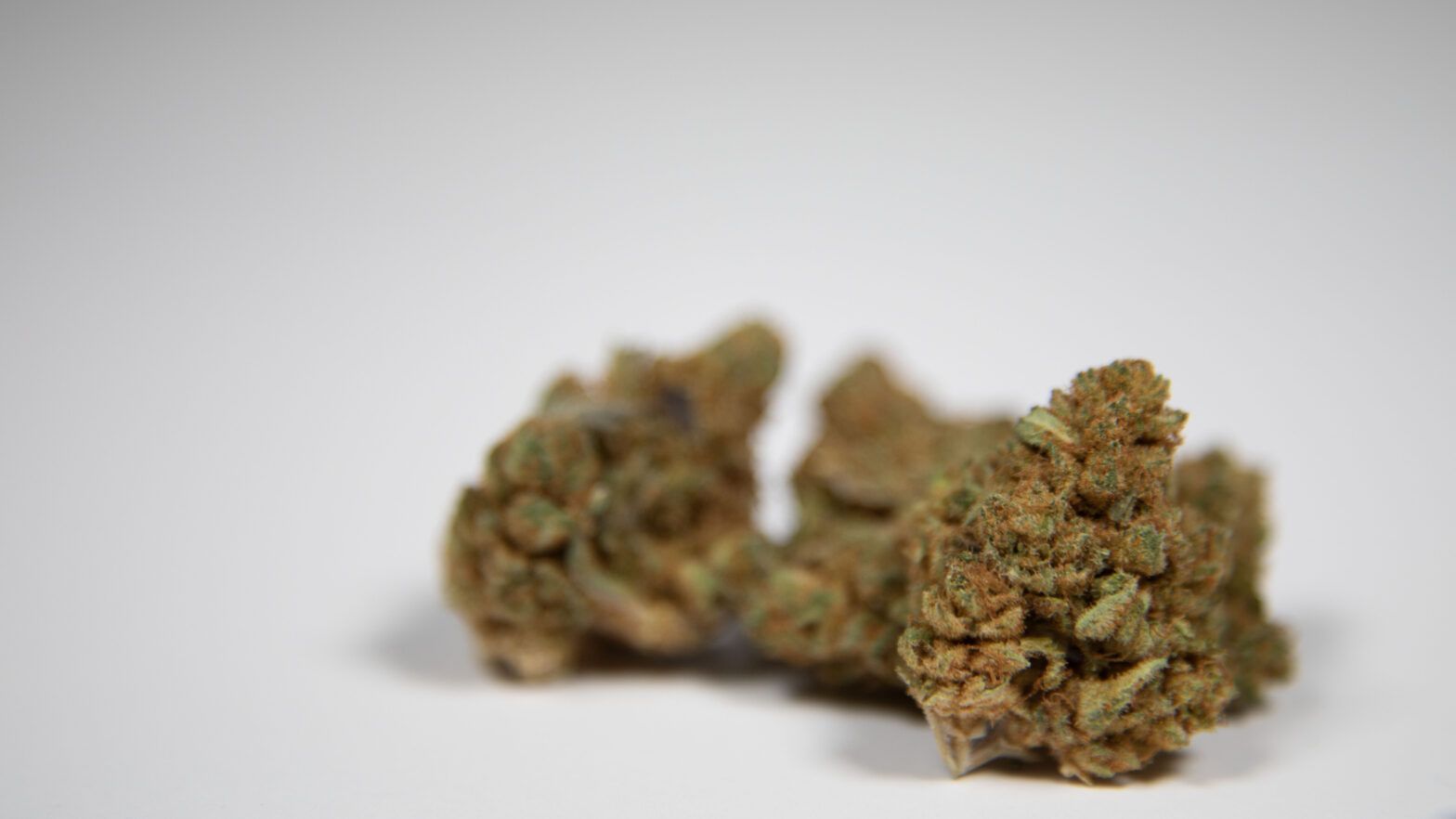 A Comprehensive Look at Cannabis in New Jersey